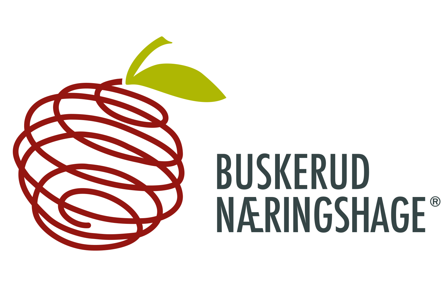 Logo - Buskerud Næringshage