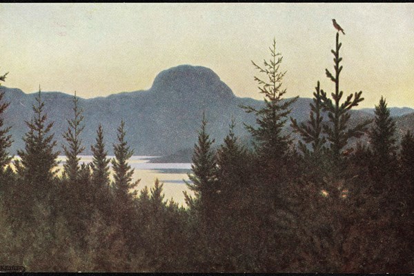 ”Andersnatten” malt av Theodor Kittelsen. Hvor høyt er fjellet?