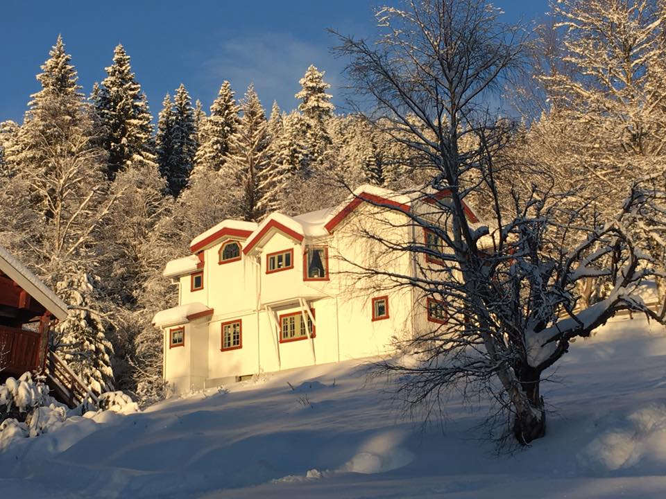 Foredrag: Den utsatte kunsten - fortellinger om kunstverk i det offentlige rom