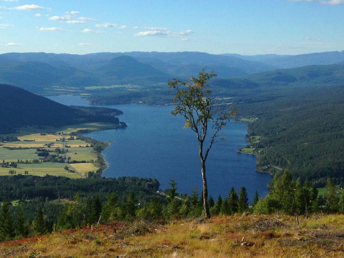 Utsikten fra Olhovd. Foto: Hilde Roland, UT.no