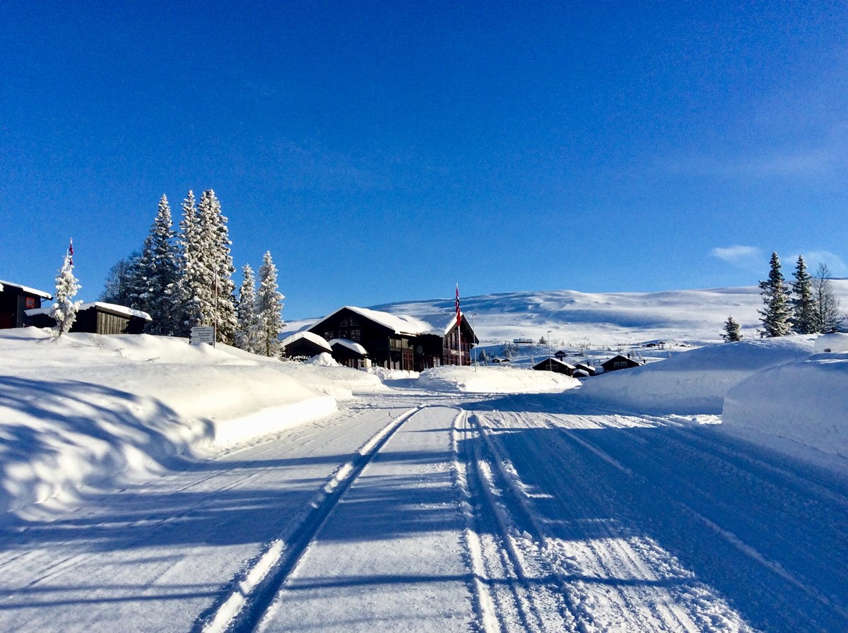 Tempelseter Fjellstue var en av bedriftene som presenterte seg i vår julekalender.