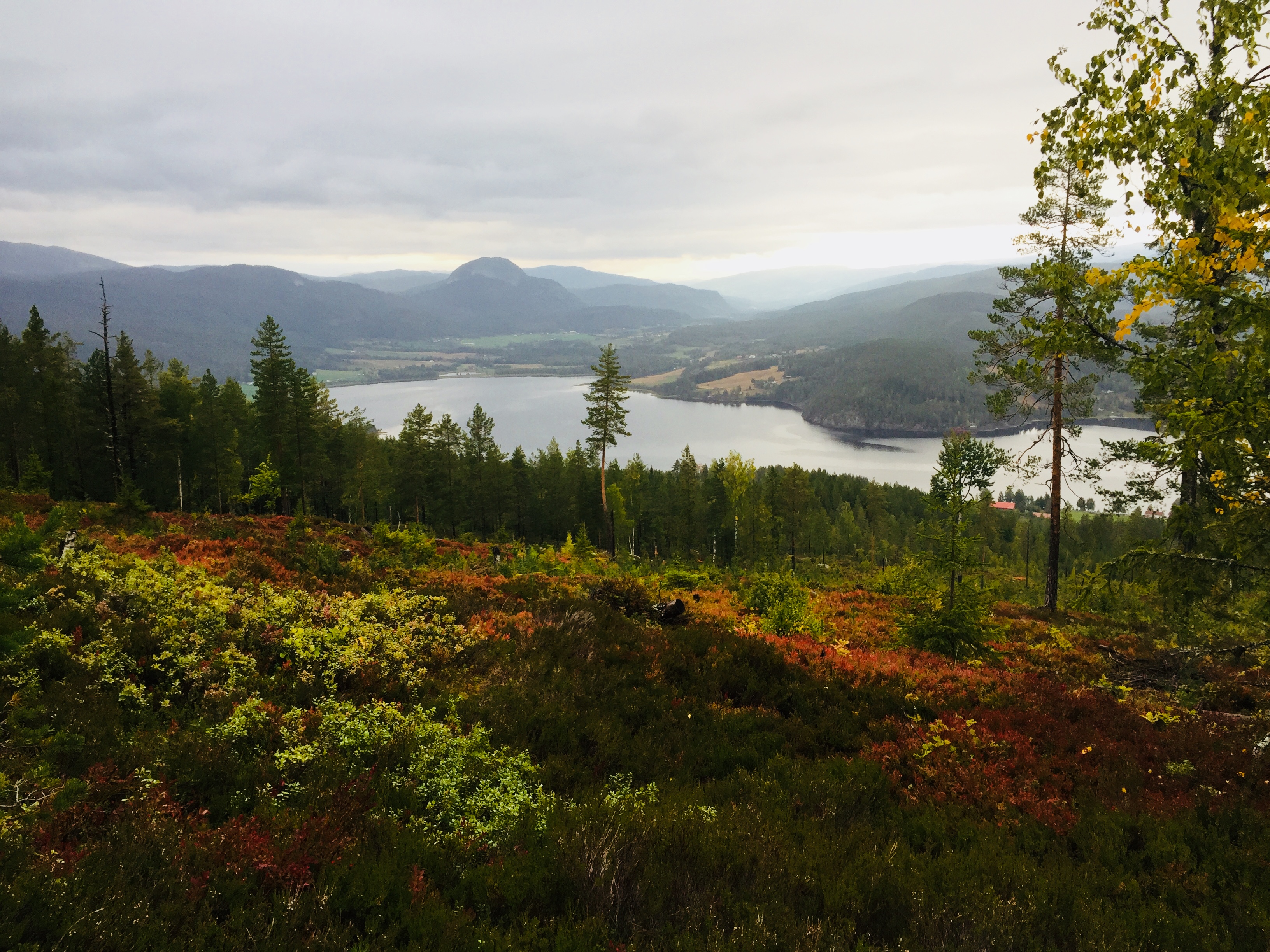 Bli kjent med bygda: Prestfoss