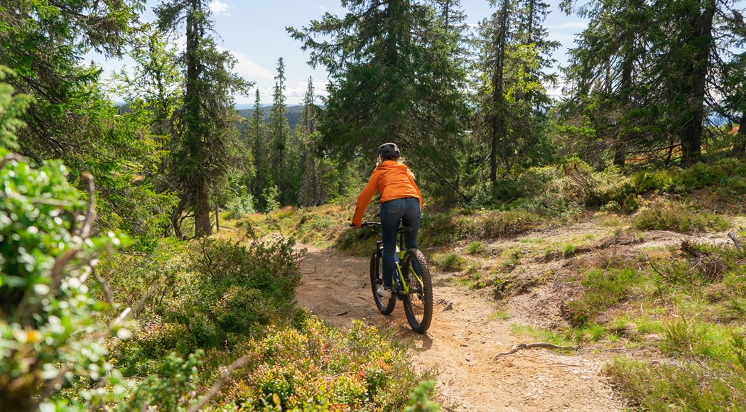 Satser på Trailguide – ny webløsning for sykkelstier