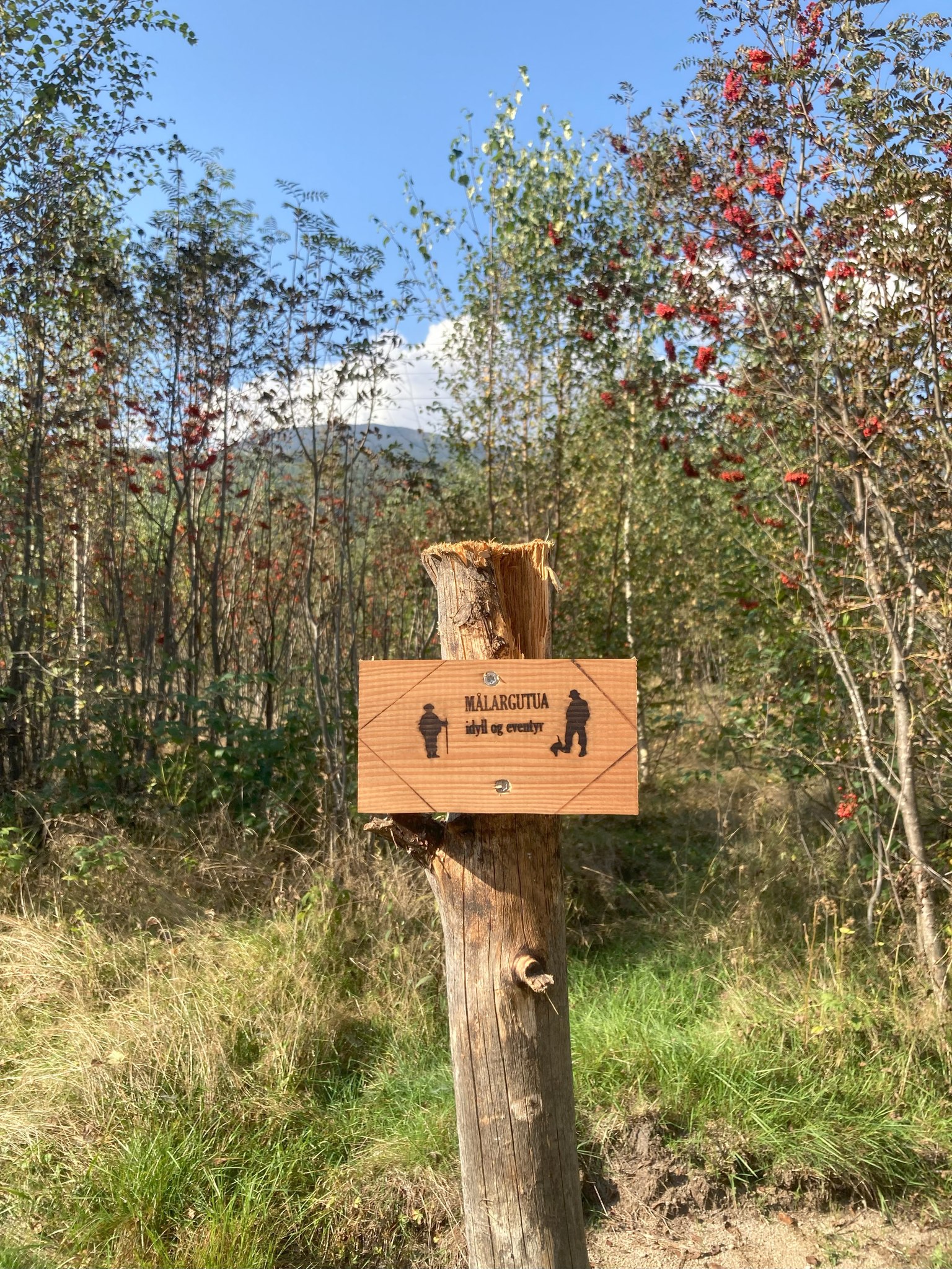 Midtsommervandring langs Målargutua