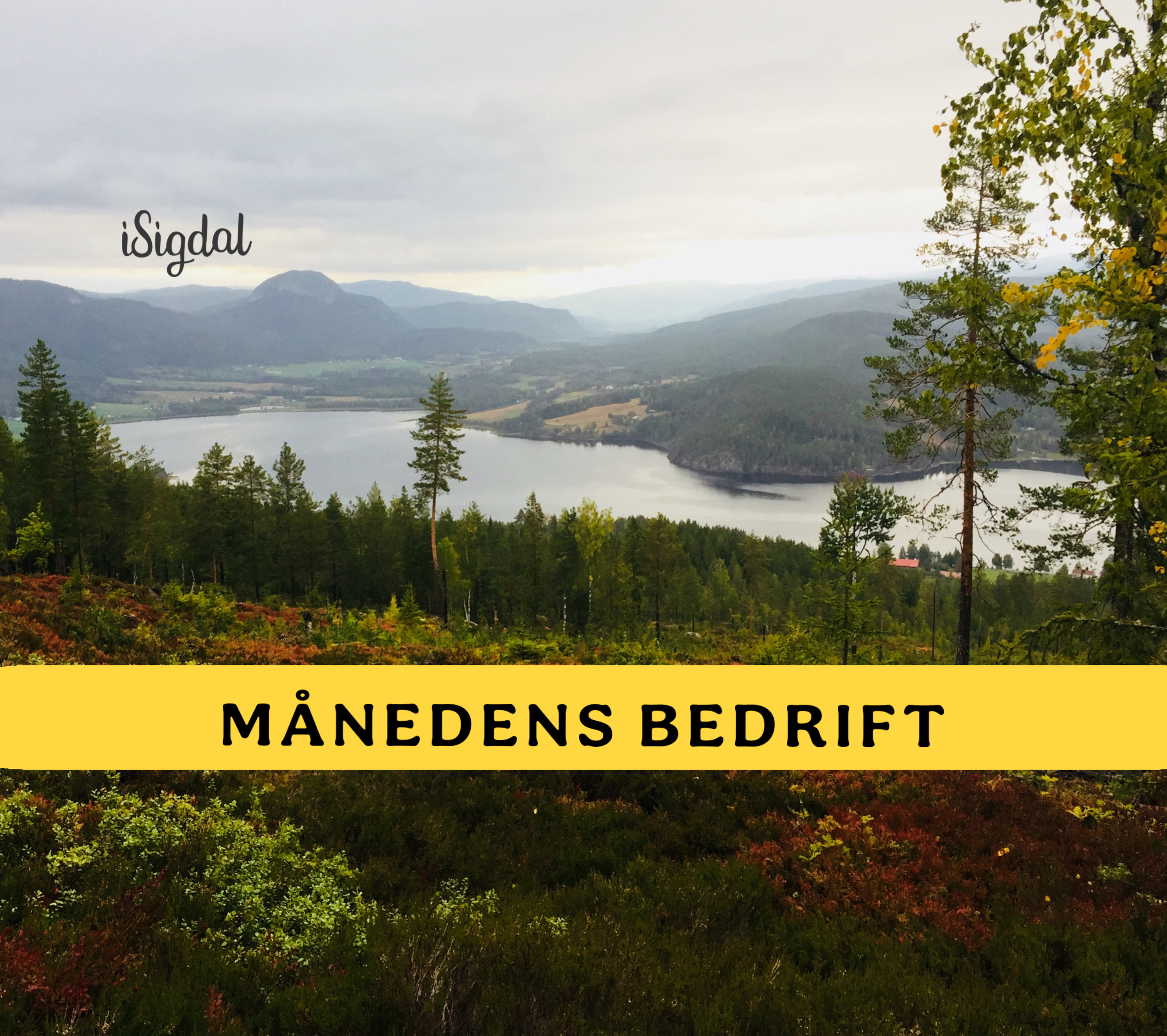 Ny serie: Månedens bedrift i Sigdal