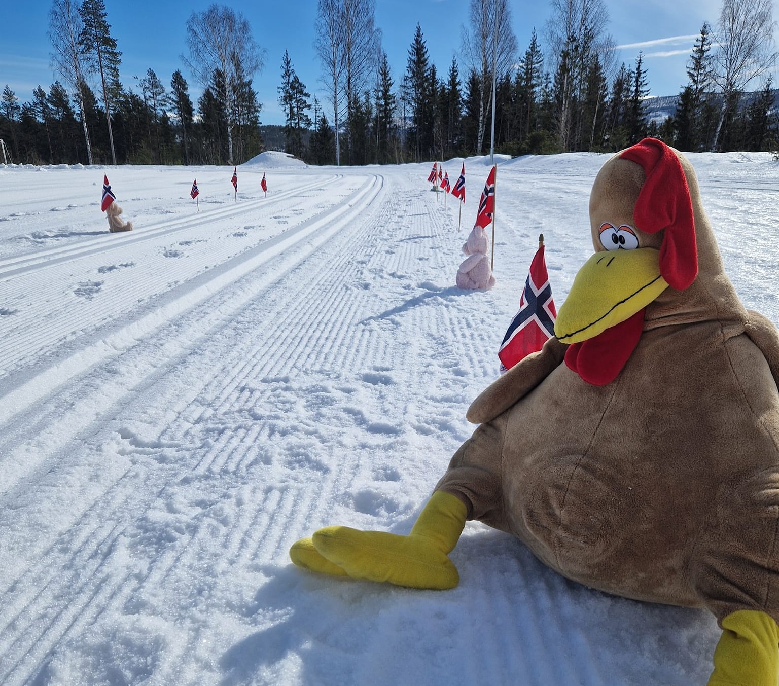 Aktivitetsdag på Hovsmoen 