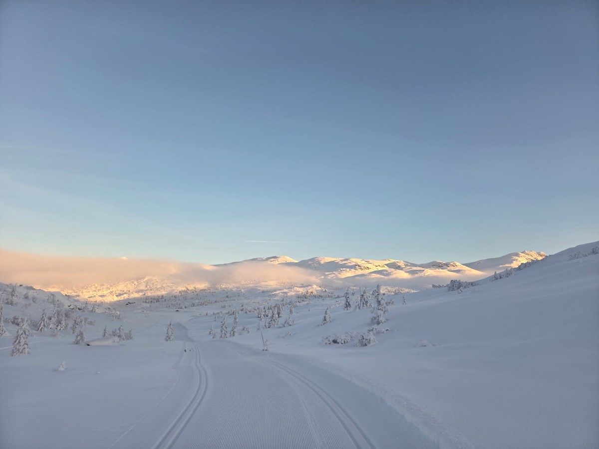 Løypa fra Stordalen mot Steinveggen. Foto: Eggedal Turlag