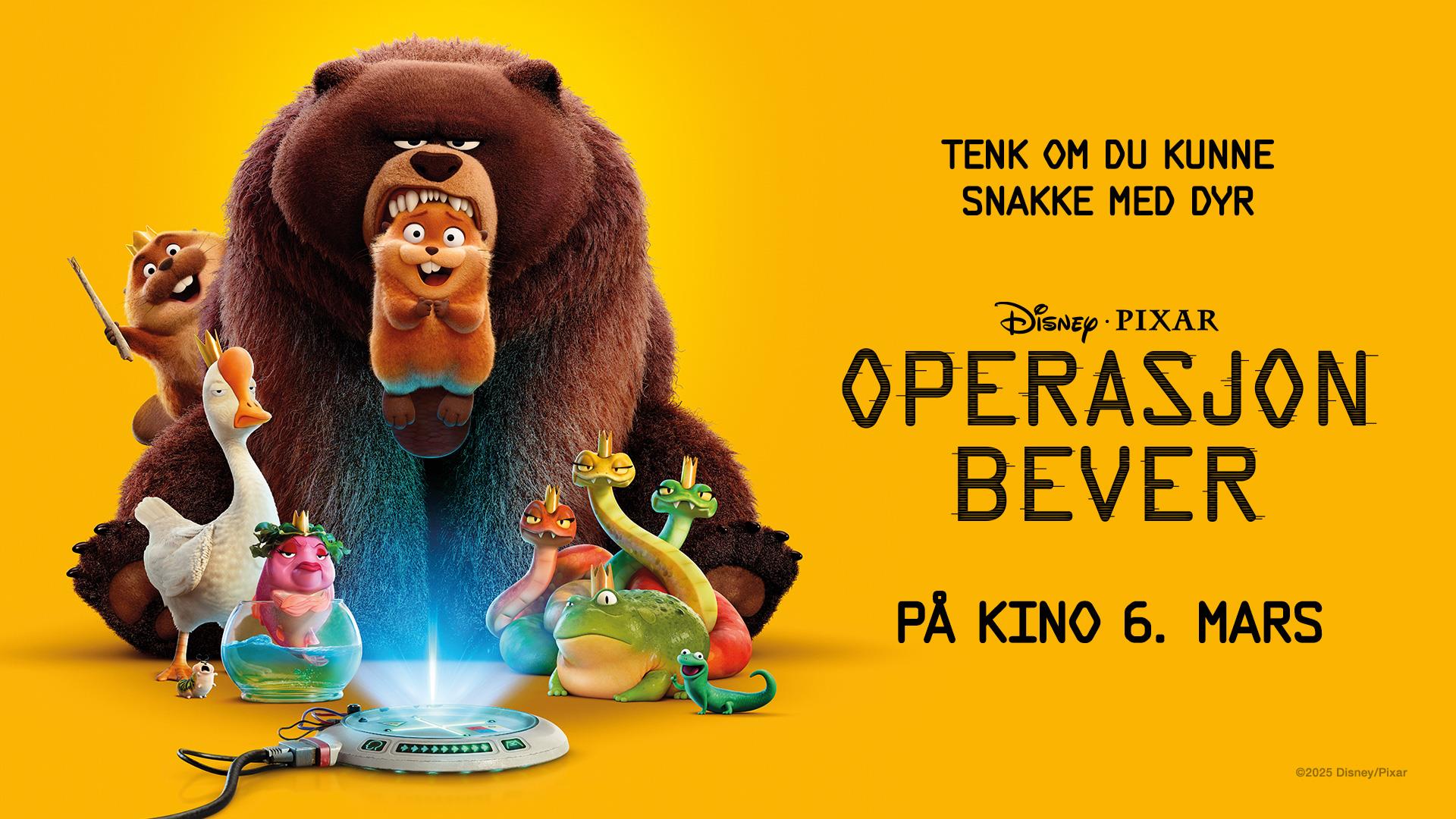 Bygdekino: Operasjon Bever