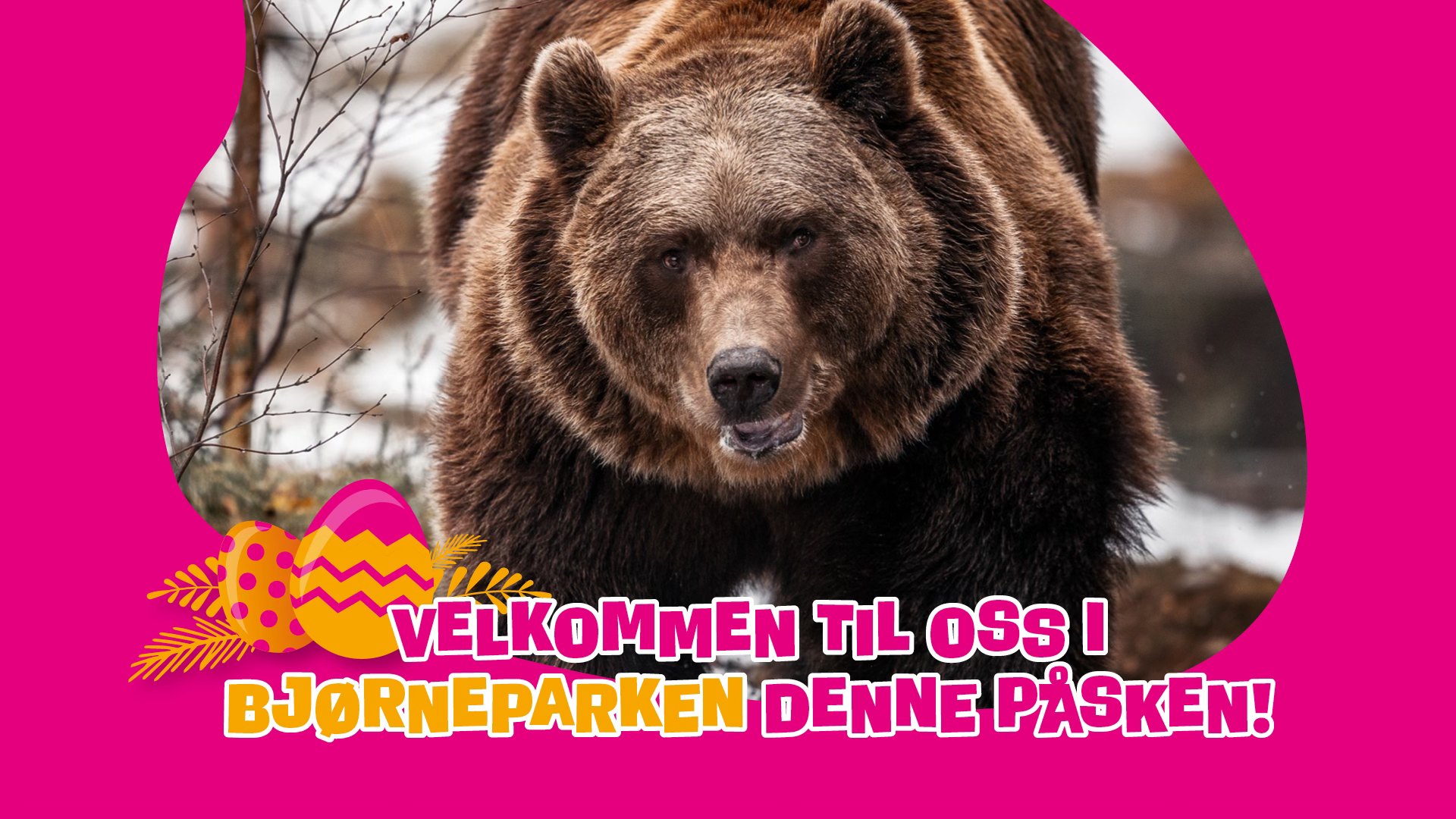 Sesongåpning av Bjørneparken