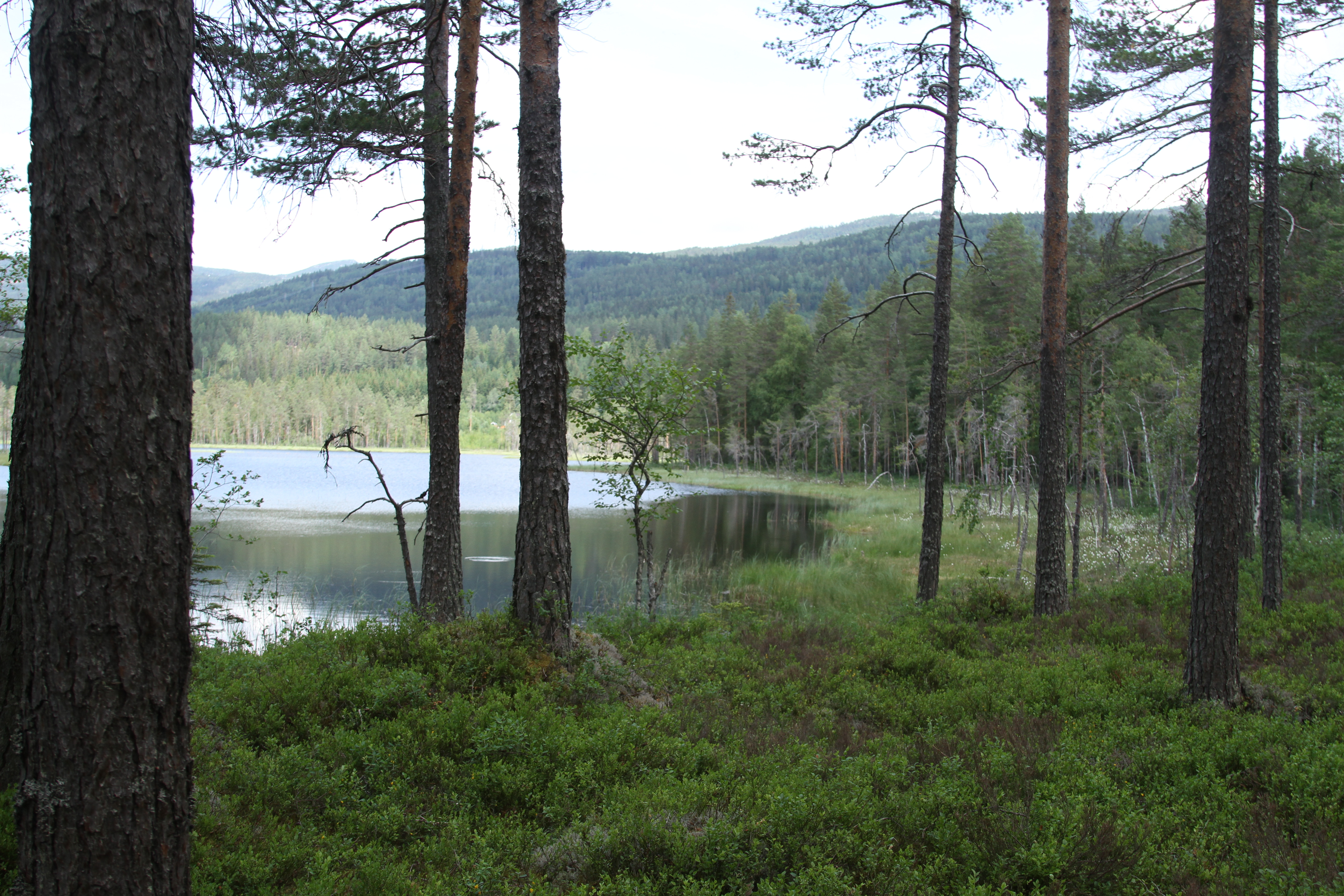 Opplev Målargutua 