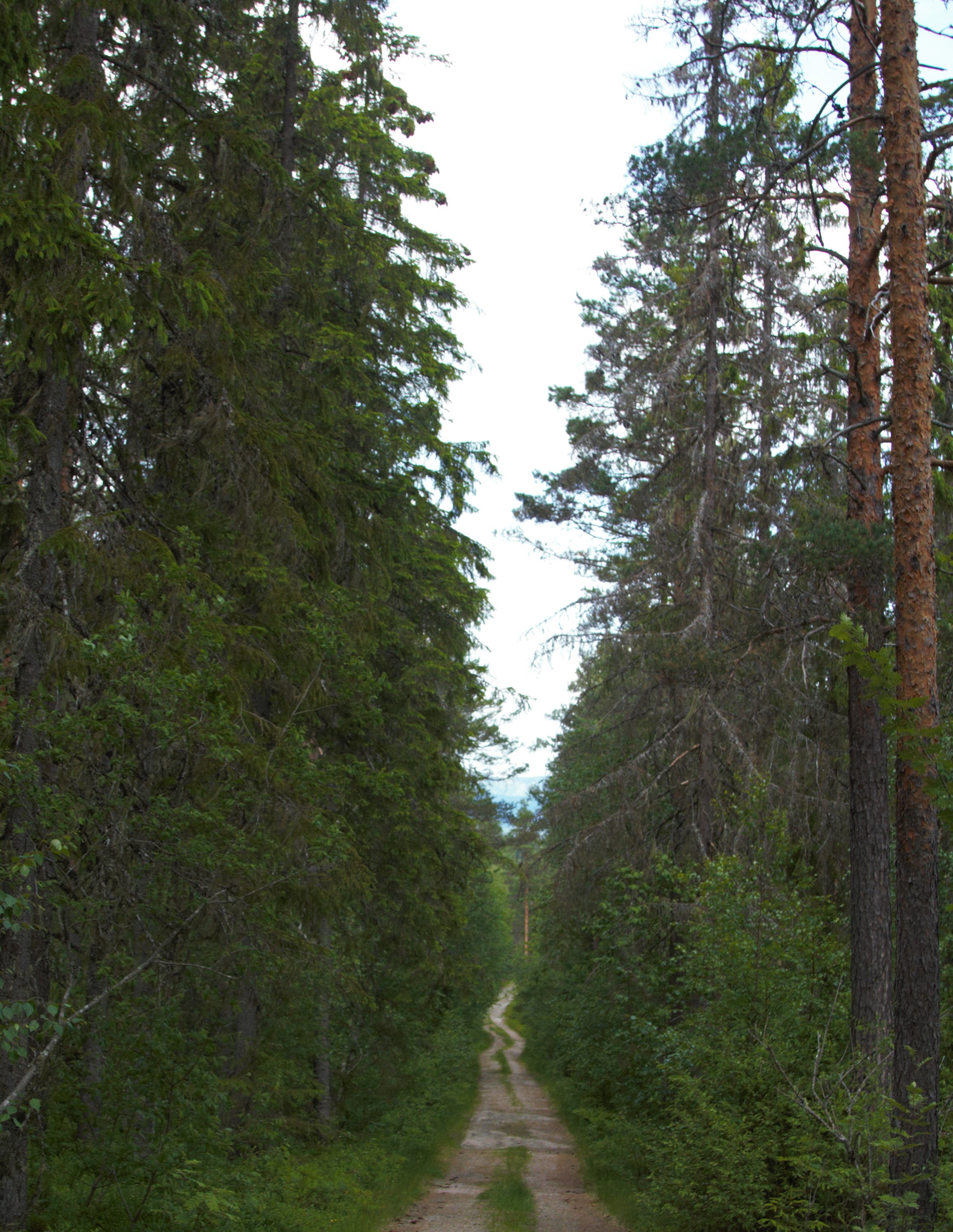 Opplev Målargutua 