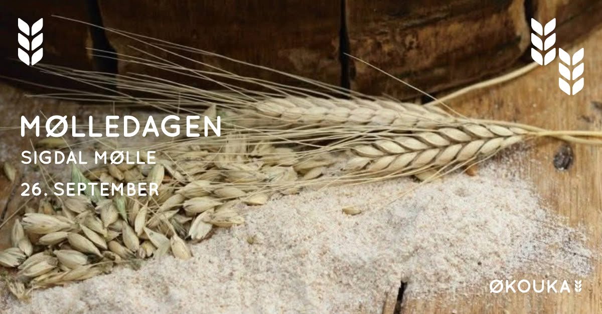 Mølledagen